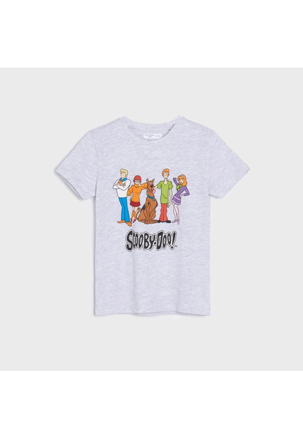 Sinsay - Koszulka Scooby Doo - Jasny szary. Kolor: szary
