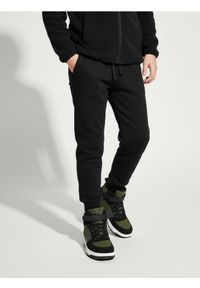 Sinsay - Ocieplane spodnie jogger - czarny. Kolor: czarny