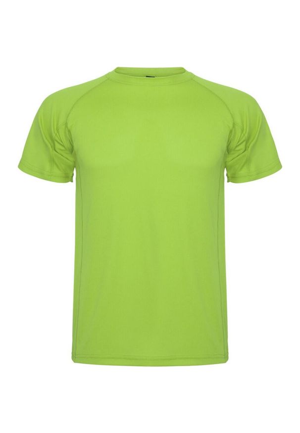 ROLY - Męska Koszulka Sportowa Montecarlo Z Krótkim Rękawem. Kolor: szary. Długość rękawa: krótki rękaw. Długość: krótkie. Sport: turystyka piesza