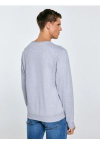 Big-Star - Bluza męska z nadrukiem szara Ecodort 901. Kolor: szary. Wzór: nadruk. Styl: klasyczny