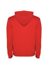 ROLY - Bluza Dziecięca/dziecięca Urban Hoodie. Kolor: czerwony, czarny, wielokolorowy