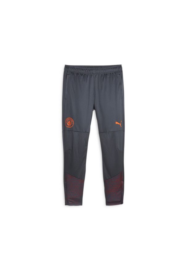 Puma - Spodnie dresowe Manchester City 2023/24. Kolor: szary. Materiał: dresówka. Sport: piłka nożna, fitness