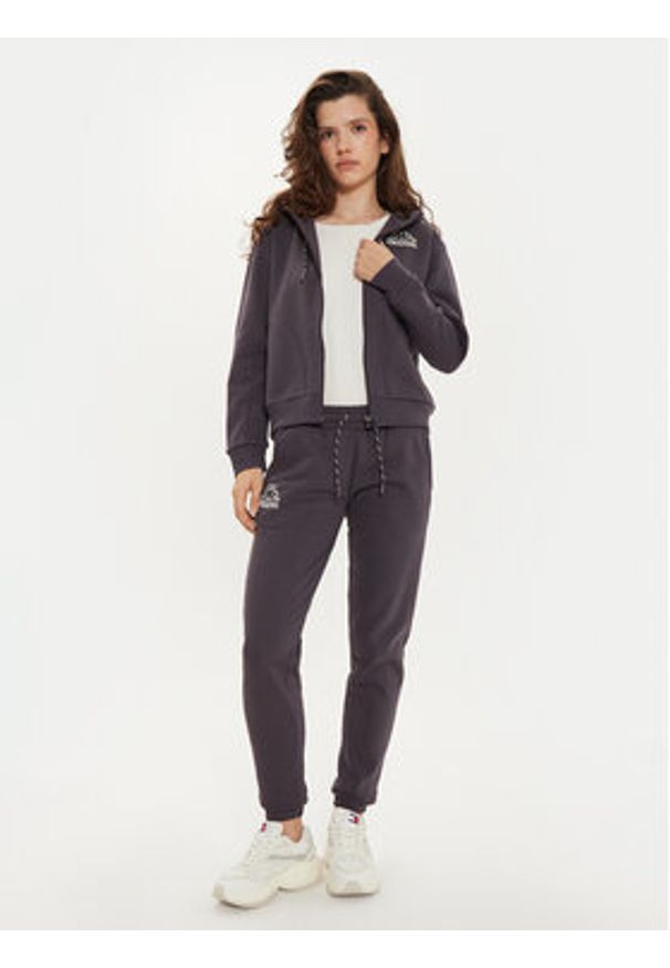 Kappa Bluza Femisa 351N2NW Szary Regular Fit. Kolor: szary. Materiał: bawełna