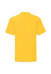 FRUIT OF THE LOOM - Kultowa Koszulka Dziecięca / Dziecięca. Kolor: żółty, pomarańczowy, wielokolorowy