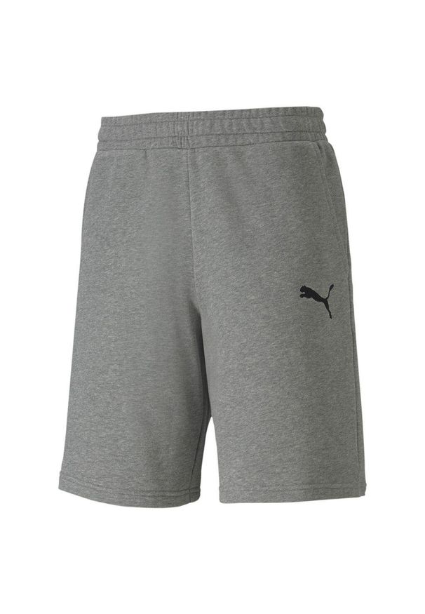 Spodenki męskie Puma TeamGOAL 23 Casuals Shorts szare. Kolor: szary