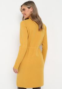 Born2be - Żółta Pudełkowa Sukienka Sweterkowa ze Ściągaczem Elenames. Kolor: żółty #3