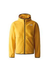 The North Face Polar Glacier Nf0A82Tv56P. Kolor: żółty. Materiał: polar