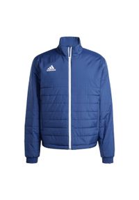 Adidas - Entrada Light Jacket. Kolor: niebieski, wielokolorowy, biały. Materiał: materiał. Sport: piłka nożna