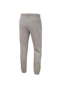 Spodnie treningowe męskie Nike Club Pant CF. Kolor: szary. Materiał: dresówka. Sport: fitness