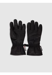 4f - 4F Rękawiczki narciarskie Thinsulate dziecięce - czarne XL. Kolor: czarny. Materiał: materiał. Technologia: Thinsulate. Wzór: paski. Sezon: zima. Sport: narciarstwo #1