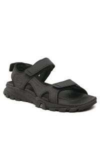 Timberland Sandały Lincoln Peak Strap Sandal TB0A5T5G0151 Czarny. Kolor: czarny. Materiał: skóra