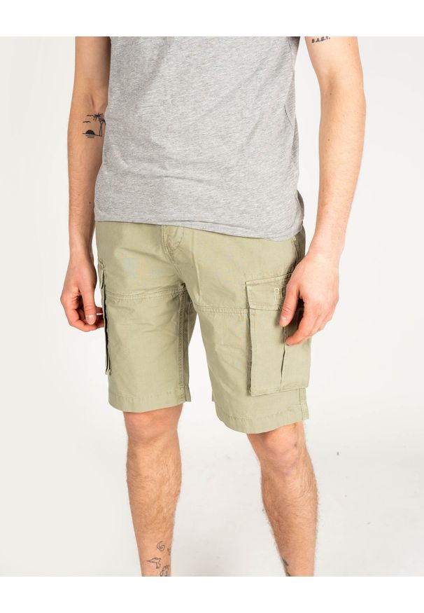 Pepe Jeans Szorty "Journey" | PM800843 | Journey | Mężczyzna | Khaki. Okazja: na co dzień. Kolor: brązowy. Materiał: bawełna. Wzór: aplikacja. Styl: casual