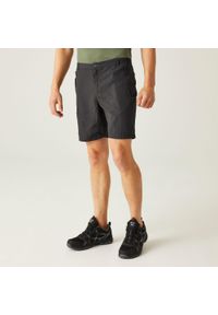 Regatta - Leesville II męskie spodenki trekkingowe. Kolor: szary. Materiał: poliamid. Sport: turystyka piesza #1