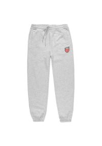 Spodnie dresowe Prosto Sweatpants King KL222MPAN1153 - szare. Kolor: szary. Materiał: dresówka