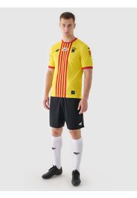 4f - 4F Koszulka klubowa domowa z sezonu 2024/25 męska 4F x Korona Kielce - multikolor XXL. Okazja: do domu. Kolor: wielokolorowy. Materiał: dzianina, włókno, koronka. Wzór: koronka. Sezon: lato