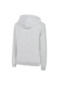Puma Bluza Ess Fl 84719703. Kolor: wielokolorowy, czarny, szary