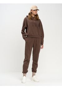 Big-Star - Bluza damska z kapturem brązowa Meganer 804/ Foxaner 804/ Jeaner 804. Typ kołnierza: kaptur. Kolor: brązowy. Materiał: dzianina, skóra. Wzór: nadruk, aplikacja #2