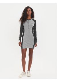 Guess Sukienka codzienna W5YK79 K1D80 Szary Regular Fit. Okazja: na co dzień. Kolor: szary. Materiał: bawełna. Typ sukienki: proste. Styl: casual