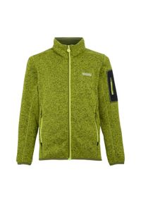 Regatta - Kurtka Dziecięca Newhill Fleece Jacket. Kolor: zielony. Sezon: zima