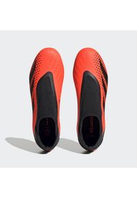 Adidas - Buty Predator Accuracy.3 Laceless FG. Kolor: pomarańczowy, wielokolorowy, czarny. Materiał: materiał