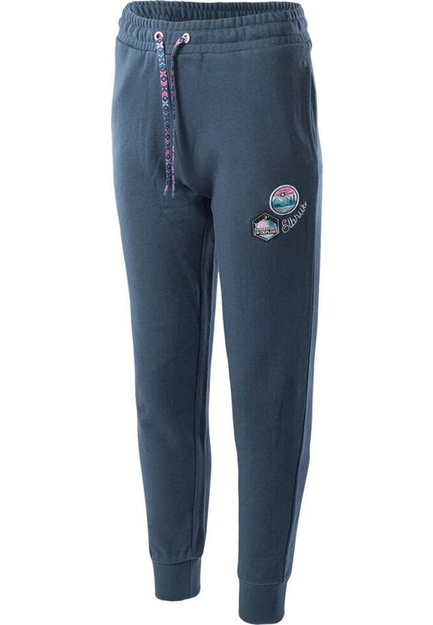 Damskie treningowe spodnie Elbrus Sogia. Kolor: szary. Długość: długie