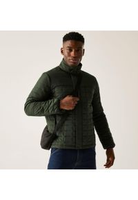 Regatta - Kurtka męska przejściowa Haire. Kolor: zielony. Materiał: tkanina, puch, polar, materiał. Sport: turystyka piesza #1