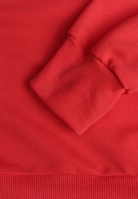 Renee - Czerwona Casualowa Bluza z Bawełną Akko. Okazja: na co dzień. Kolor: czerwony. Materiał: bawełna. Styl: casual #8