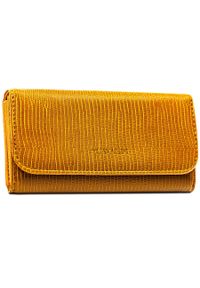 4U CAVALDI - Duży, brązowy portfel damski ze skóry ekologicznej - 4U Cavaldi. Kolor: brązowy. Materiał: skóra ekologiczna #1