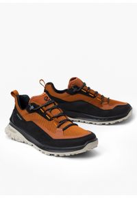 ecco - Buty outdoorowe męskie brązowe ECCO ULT-TRN M LOW WP. Kolor: brązowy. Materiał: skóra, guma, nubuk, materiał. Sport: turystyka piesza