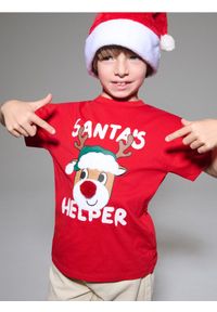 Sinsay - Koszulka z aplikacją 3D - czerwony. Kolor: czerwony. Wzór: aplikacja #1