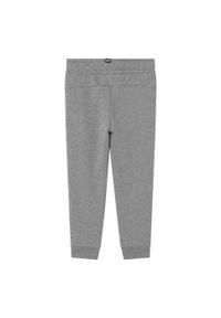 Spodnie dla dzieci Puma ESS Logo Pants TR. Kolor: szary