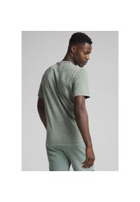 Puma - Męska koszulka z efektem sprania PUMA Class PUMA Green Moon. Kolor: zielony. Materiał: guma. Wzór: nadruk