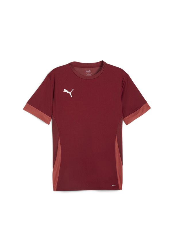 Koszulka Puma TeamGoal. Kolor: czerwony. Sport: piłka nożna