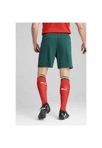 Puma - Szorty Portugal 2025. Kolor: wielokolorowy, beżowy, zielony