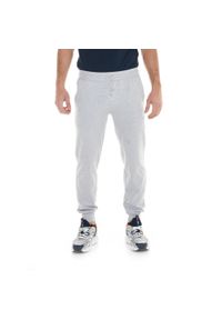 LEONE 1947 APPAREL - Męskie spodnie sportowe z małym logo. Kolor: szary. Materiał: tkanina. Sport: fitness