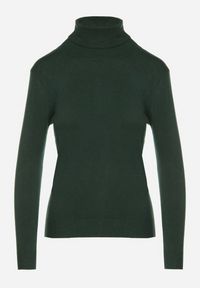 Born2be - Ciemnozielony Klasyczny Golf z Bawełną Reilisea. Okazja: na co dzień. Typ kołnierza: golf. Kolor: zielony. Materiał: bawełna. Styl: klasyczny #6