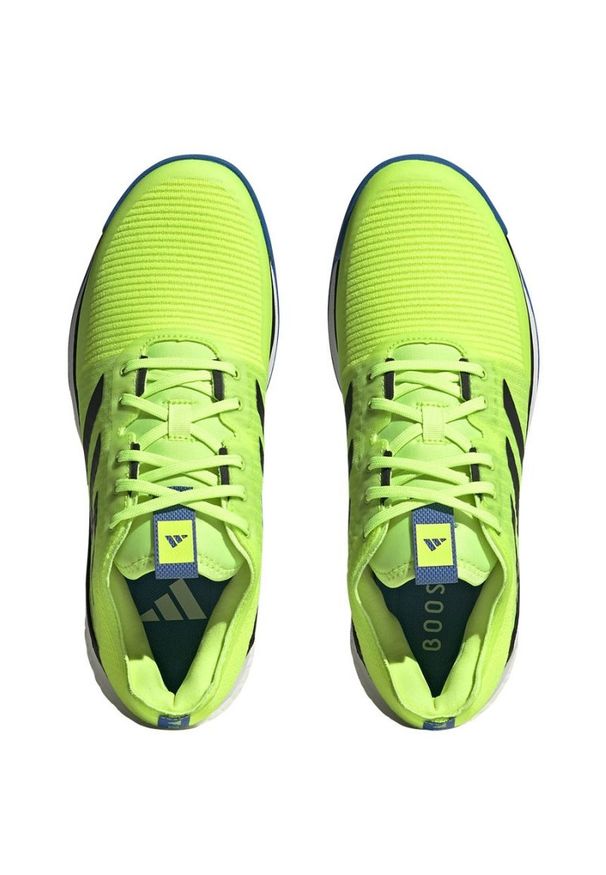 Zielone buty do siatkówki Adidas Crazy, na sznurówki