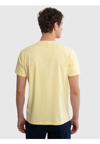 Big-Star - Koszulka męska bawełniana z dużym nadrukiem żółta Alexander 200. Okazja: na co dzień. Kolor: żółty. Materiał: bawełna. Wzór: nadruk. Sezon: lato. Styl: retro, casual, elegancki, wakacyjny