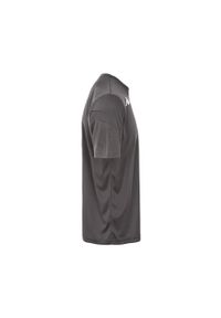 Jersey Kappa Dovo. Kolor: szary. Materiał: jersey. Sport: fitness