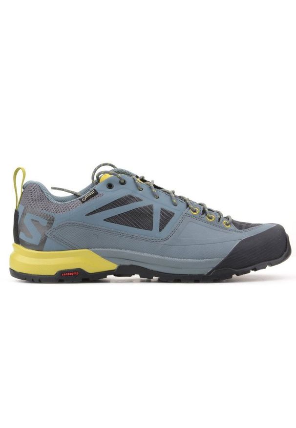 salomon - Buty Salomon X Alp Spry Gtx M 401621 szare. Kolor: szary. Materiał: materiał, syntetyk, guma. Szerokość cholewki: normalna. Technologia: Gore-Tex