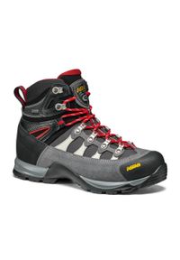 Buty GORE-TEX damskie Asolo Stynger GTX. Kolor: szary