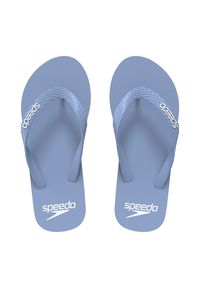 Klapki basenowe antypoślizgowe męskie Speedo Slide. Kolor: niebieski, szary, wielokolorowy. Styl: sportowy