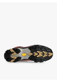 Buty trekkingowe męskie Zamberlan Vioz Lux GTX RR. Kolor: brązowy. Sport: turystyka piesza