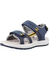 Geox - Sandały GEOX J SANDAL ALBEN BOY Niebieski. Kolor: niebieski. Materiał: tkanina, skóra. Sezon: lato