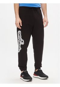 Tommy Jeans Spodnie dresowe Tjm Reg Tommy Spray Sweatpant DM0DM18376 Czarny Regular Fit. Kolor: czarny. Materiał: bawełna, syntetyk #1