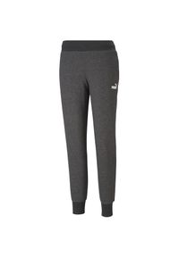 Spodnie fitness damskie Puma ESS Sweatpants FL. Kolor: szary. Sport: fitness