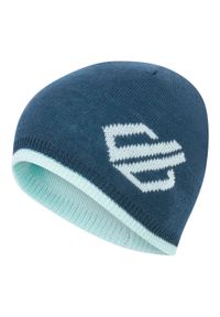 DARE 2B - Dziecięca Czapka Frequent. Kolor: niebieski. Sezon: zima. Styl: sportowy #1
