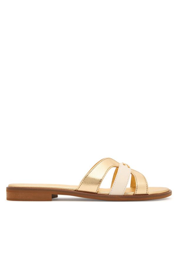 Elisabetta Franchi Klapki F4A2-E0558-1735 D Złoty. Kolor: złoty. Materiał: skóra