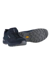 Buty trekkingowe męskie Lowa Renegade Evo Low Gtx. Zapięcie: sznurówki. Kolor: niebieski, wielokolorowy. Materiał: skóra, guma, tkanina, materiał. Szerokość cholewki: normalna