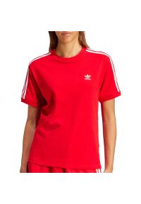 Adidas - Koszulka adidas Originals 3-Stripes IR8050 - czerwona. Kolor: czerwony. Materiał: dzianina, elastan, bawełna. Wzór: paski